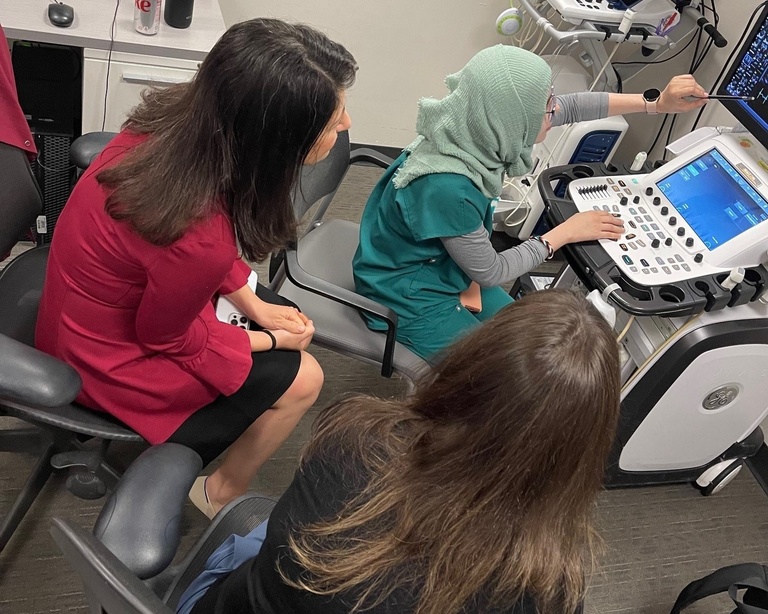 Iowa Neonatal Hemodynamics Observership Experience