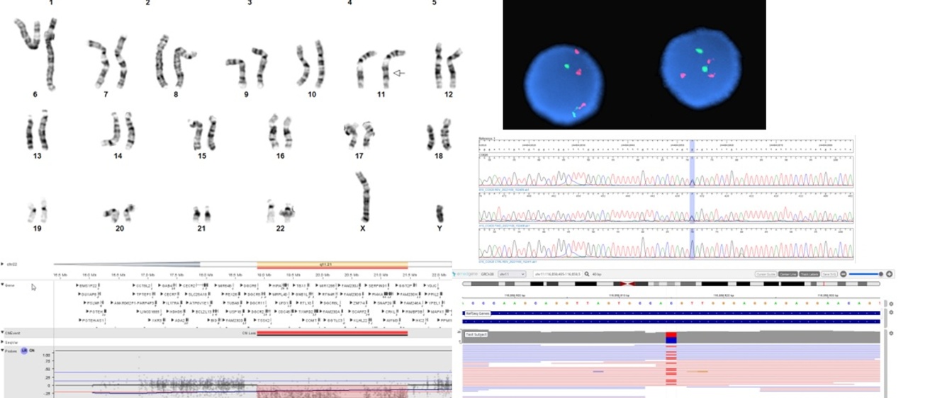 Laboratory Genetics and Genomics Fellowship