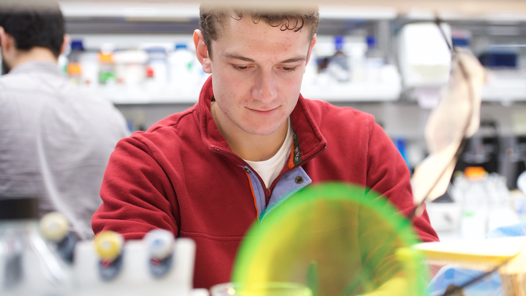 A man works in a laboratory