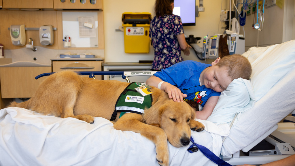 Facility dog Nacho visits patients in the pediatric cancer center at the University of Iowa Stead Family Children’s Hospital on Tuesday, Sept. 19, 2023.