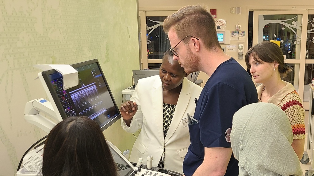Iowa Neonatal Hemodynamics Observership Experience